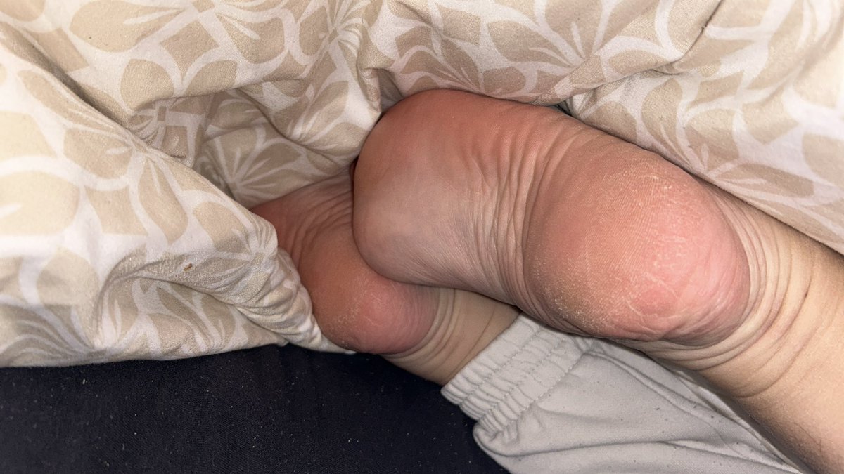 ReineNinonK tweet media