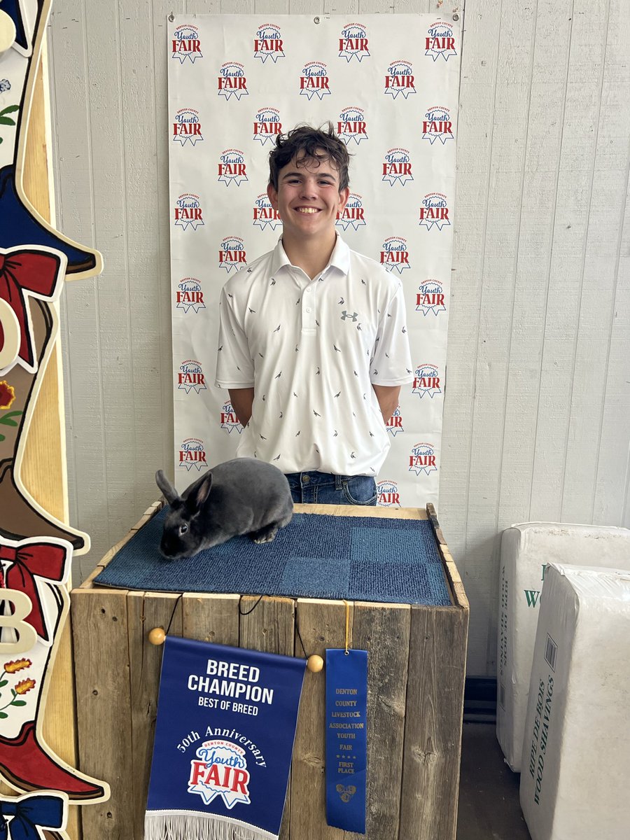 JakeTD336's tweet photo. Rabbit season comes to a end with County where  we took home 🥇in variety and Best of breed!!! https://t.co/TmrPqIlh8U