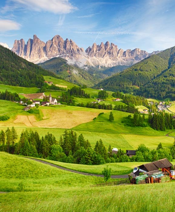 purenature_1's tweet image. Spring vibes 🌿🍃 #NatureBeauty