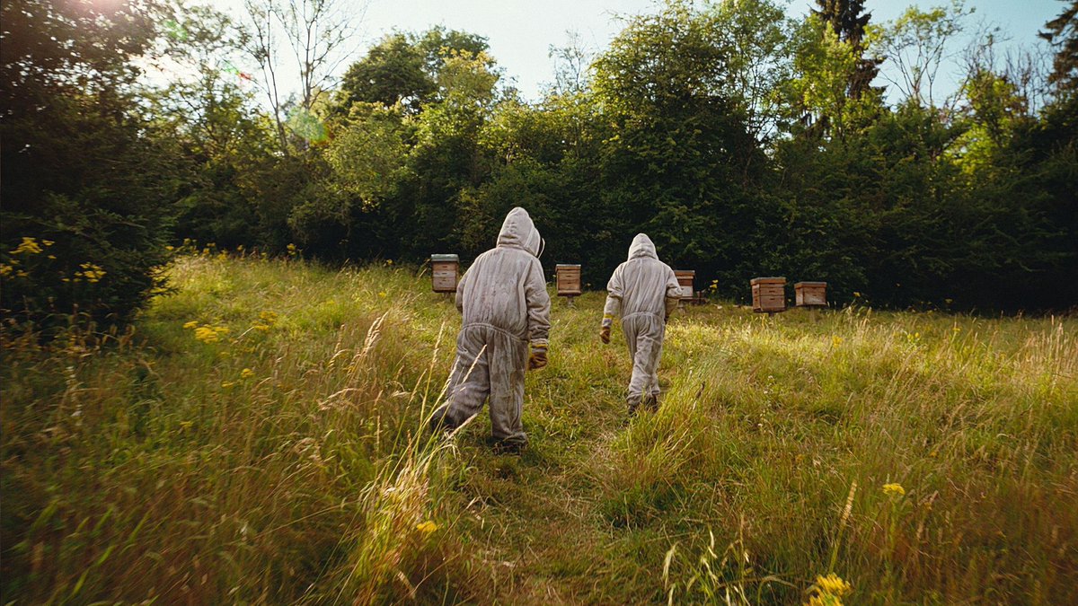 DiscussingFilm tweet media