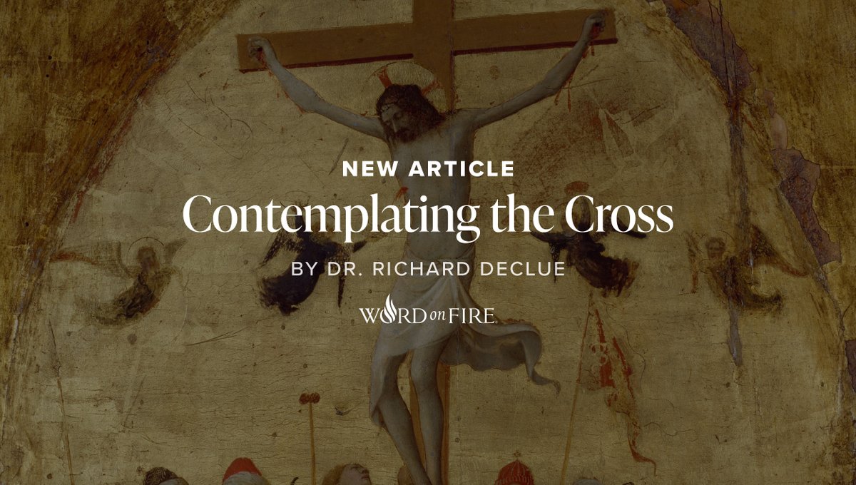 Word on Fire tweet media