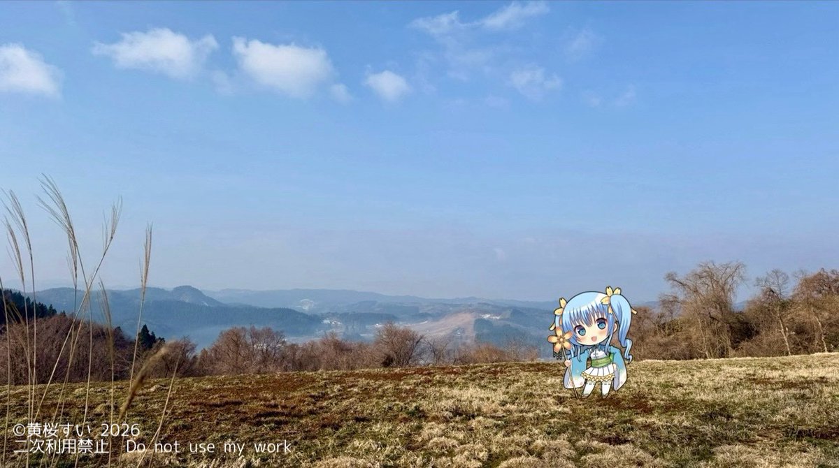 黄桜すい【公式】 tweet media