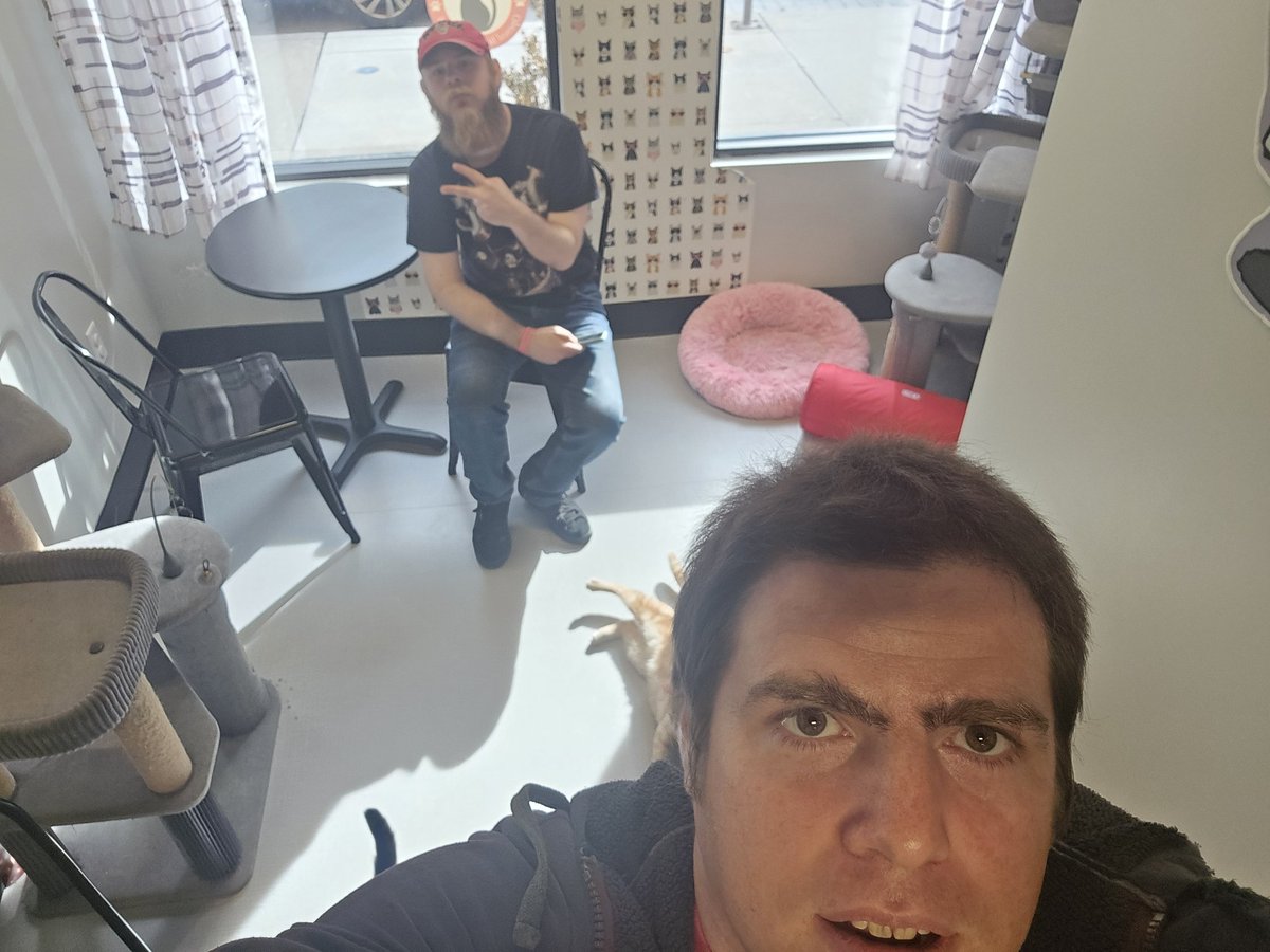 Matt Ingles tweet media