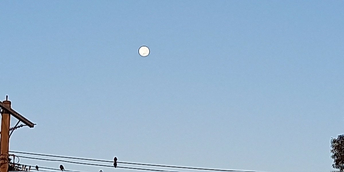 A Dali Rivers tweet media