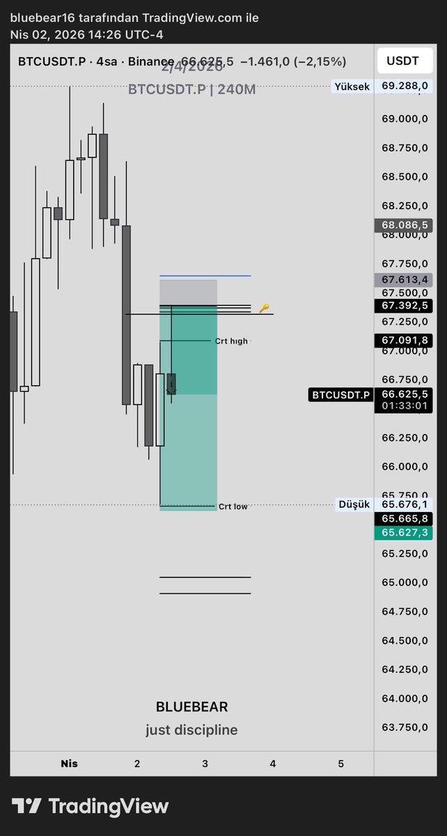 bluebear16 tweet media