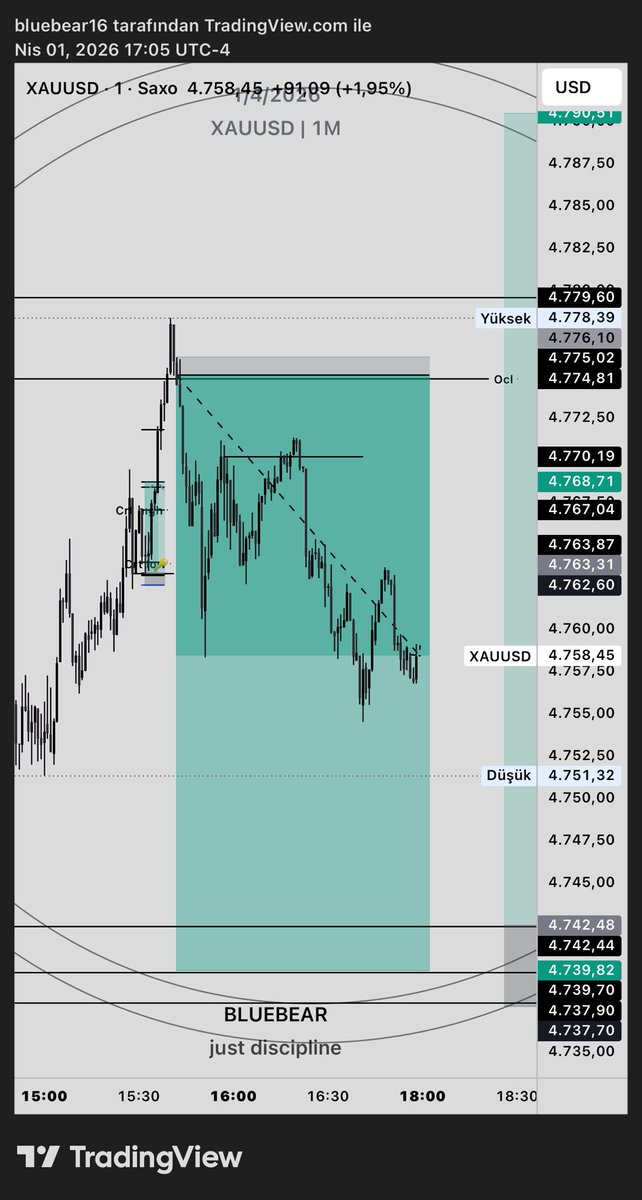 bluebear16 tweet media