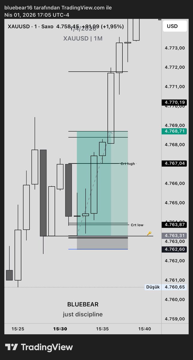 bluebear16 tweet media
