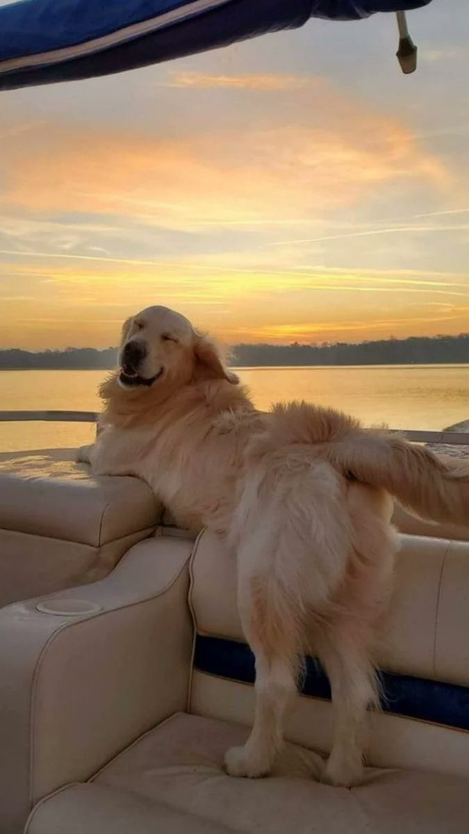 Wyatt 🍉 tweet media