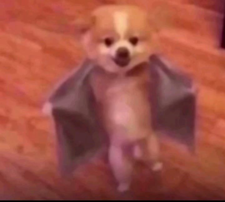 Christ Jack tweet media