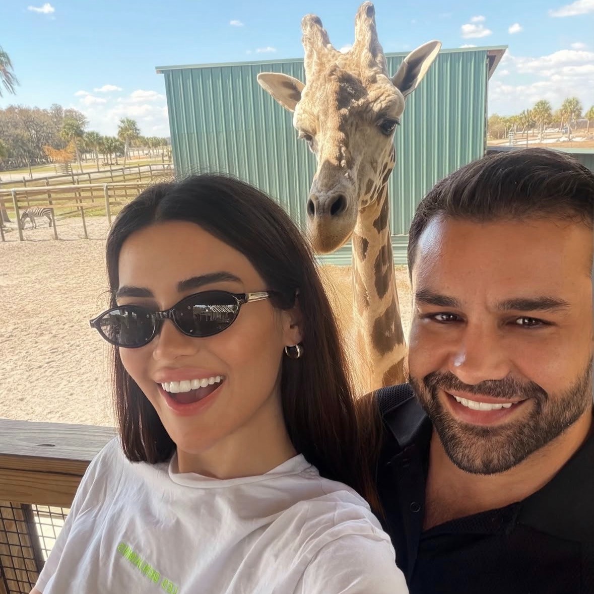 Wild Florida tweet media