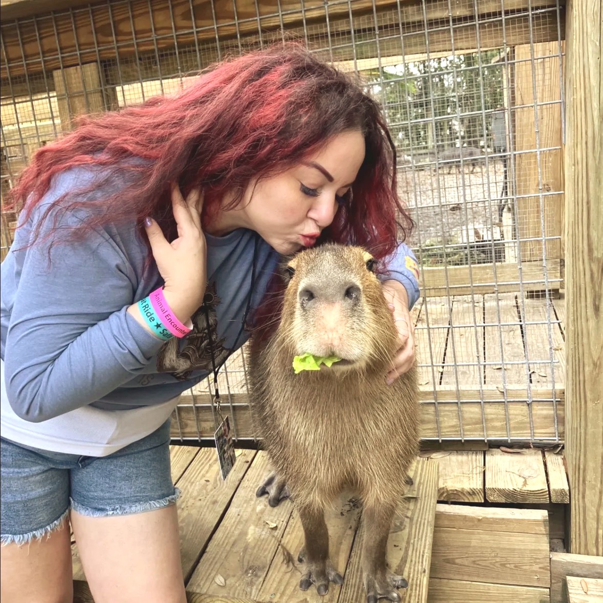 Wild Florida tweet media