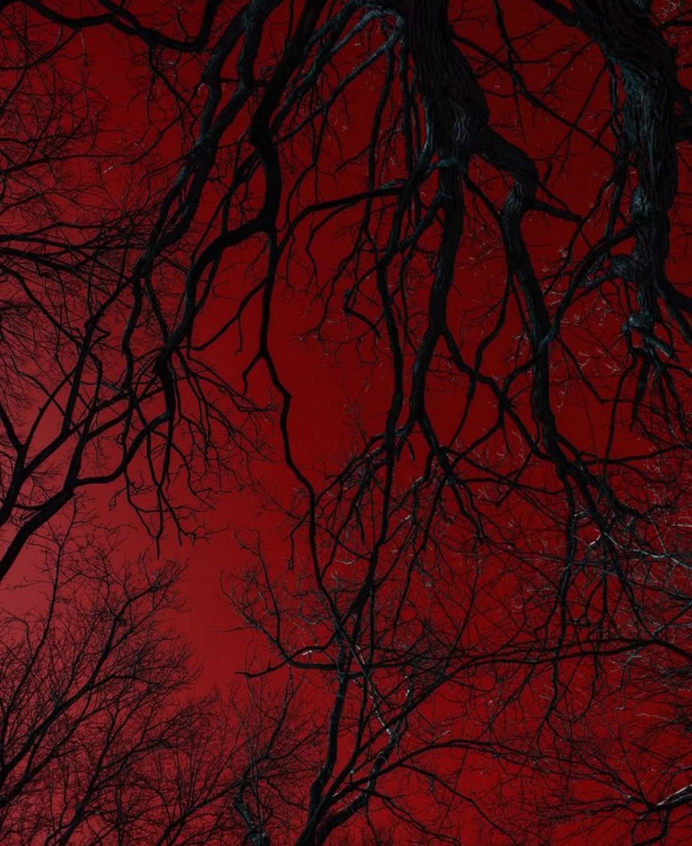 𝖁𝖆𝖒𝖕𝖞𝖗𝖎𝖆 𓋹 tweet media