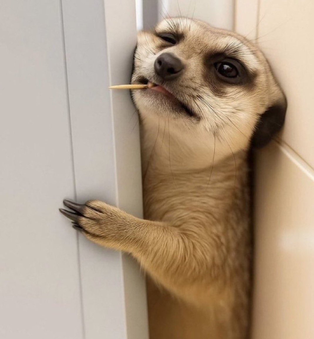 Tochi Ugbor tweet media