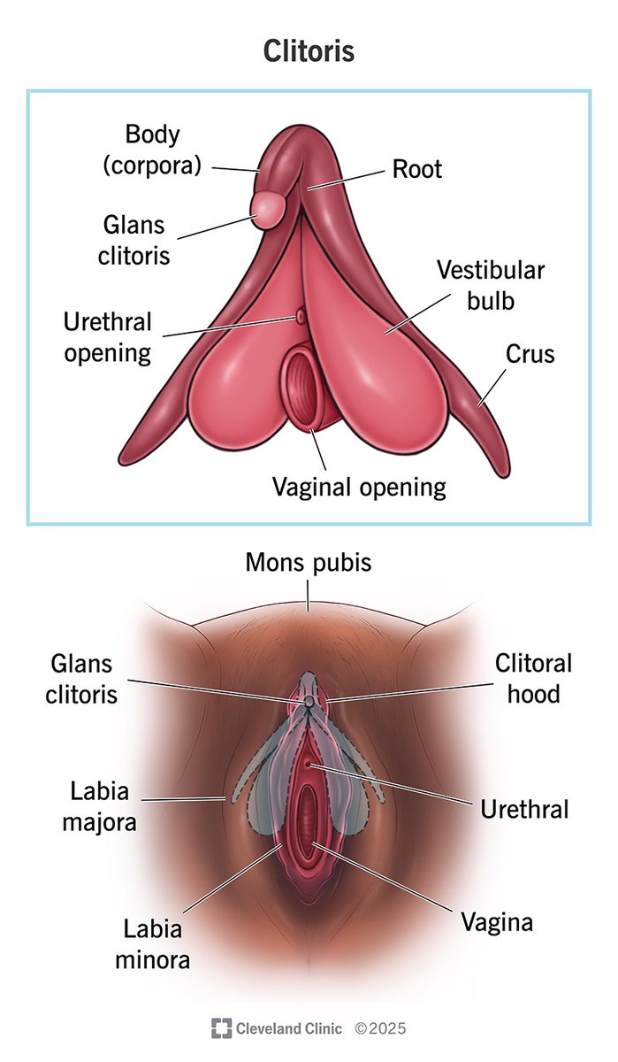 monochrome tweet media