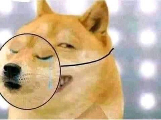 Dibia 😈 tweet media