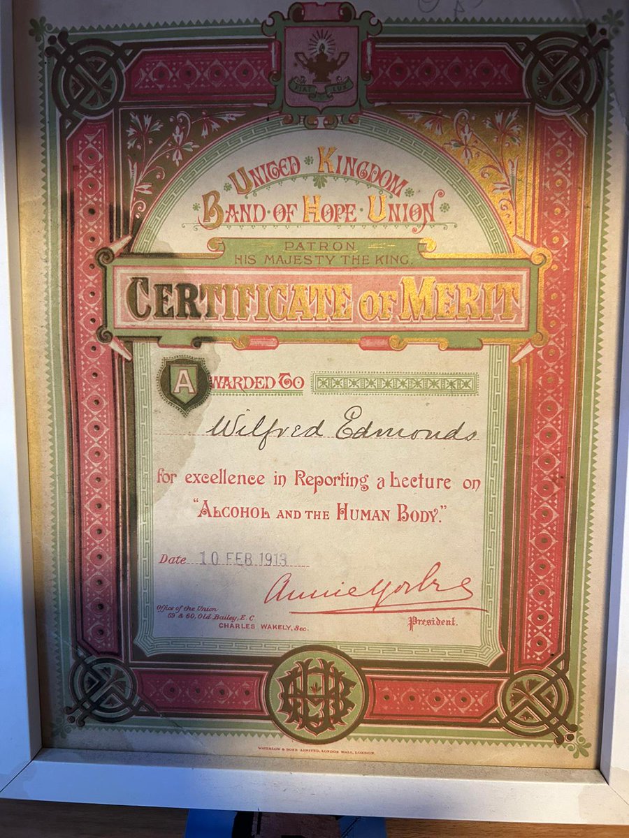 Annemarie Ward 💜 tweet media