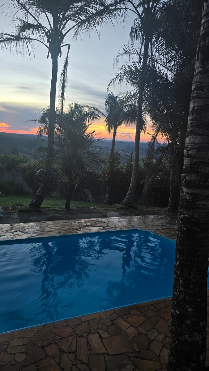 jasmine. tweet media