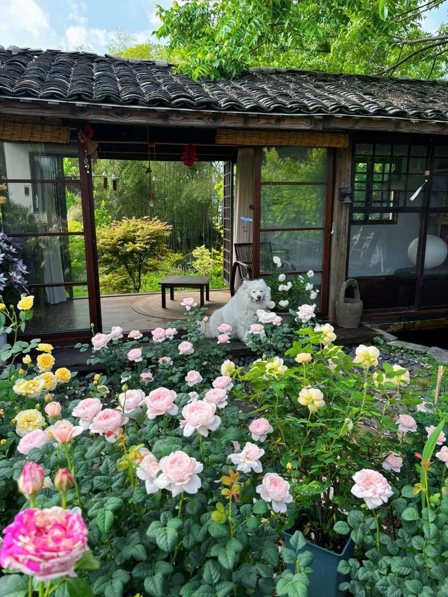 aesthetic tweet media