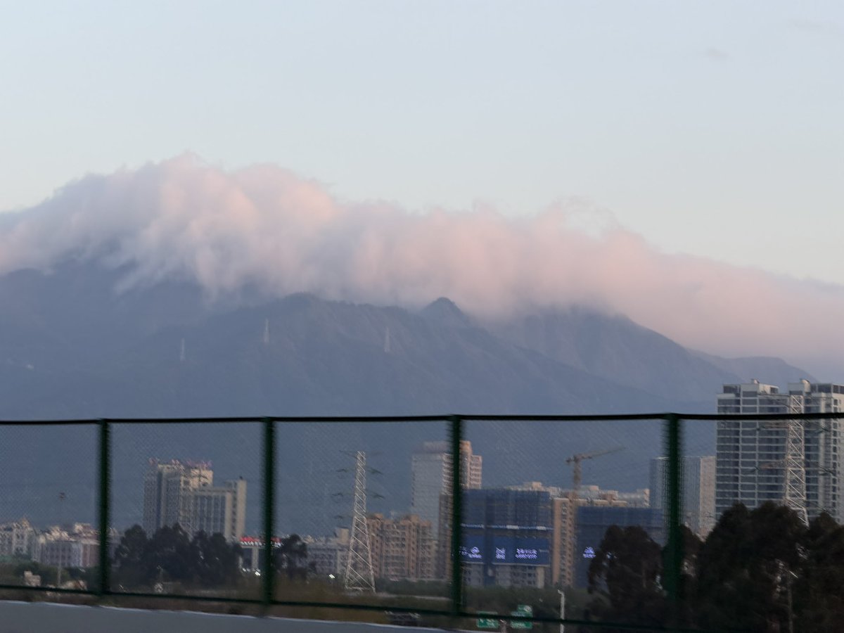 言言言 tweet media