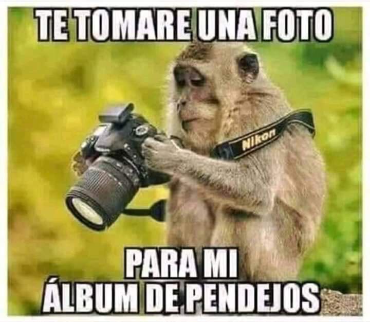 alfred m 🐕 tweet media