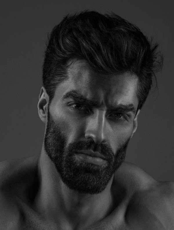 Jack Presidia tweet media