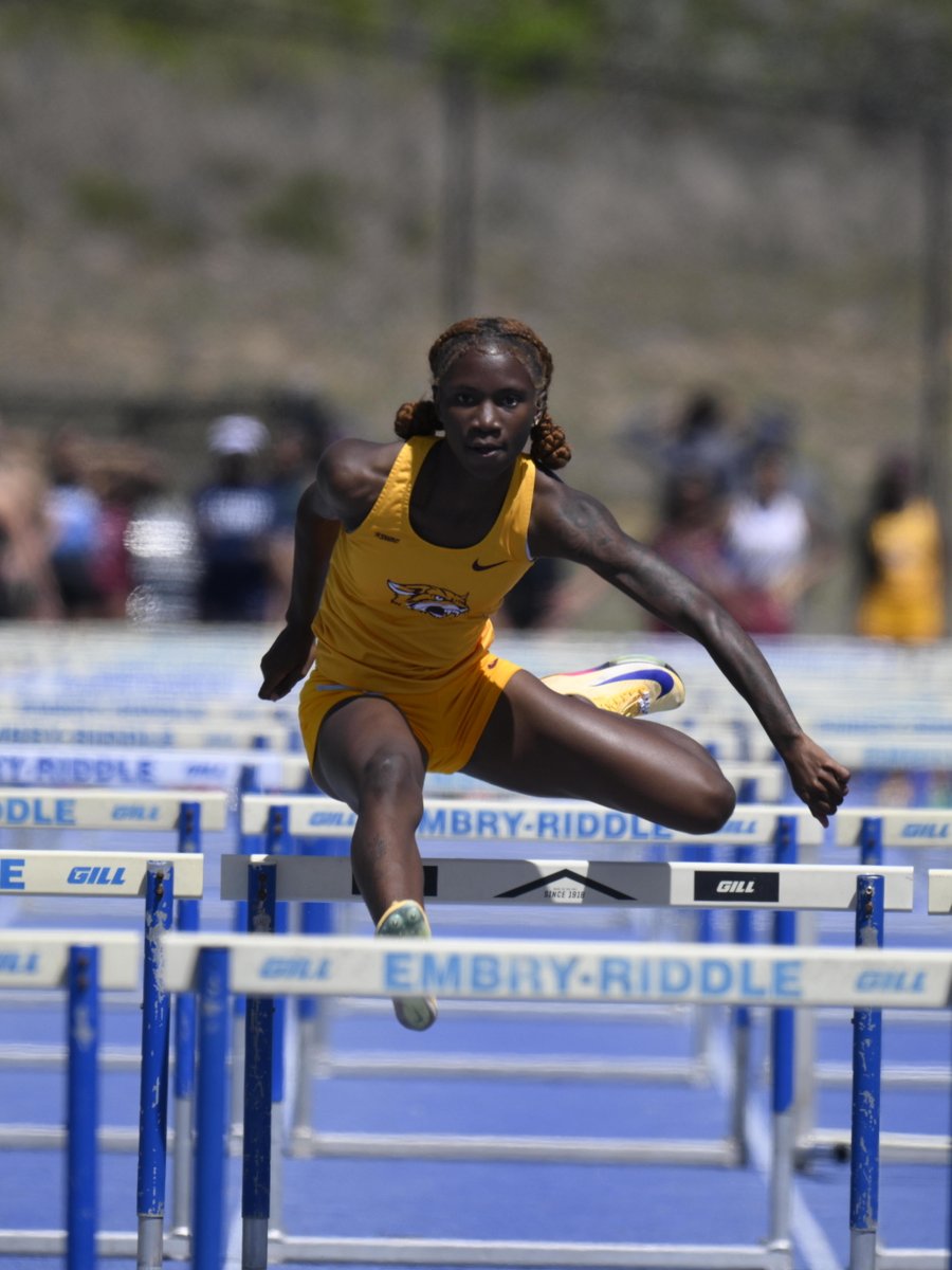 🏃🏃‍♀️Bethune-Cookman TF/XC tweet media