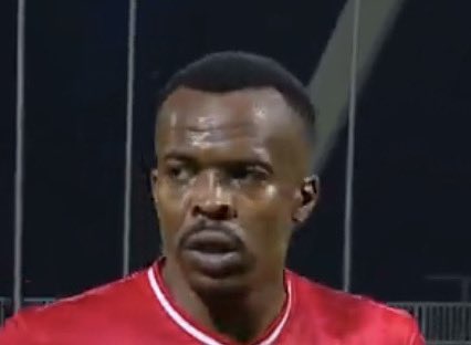 🇵🇸 tweet media