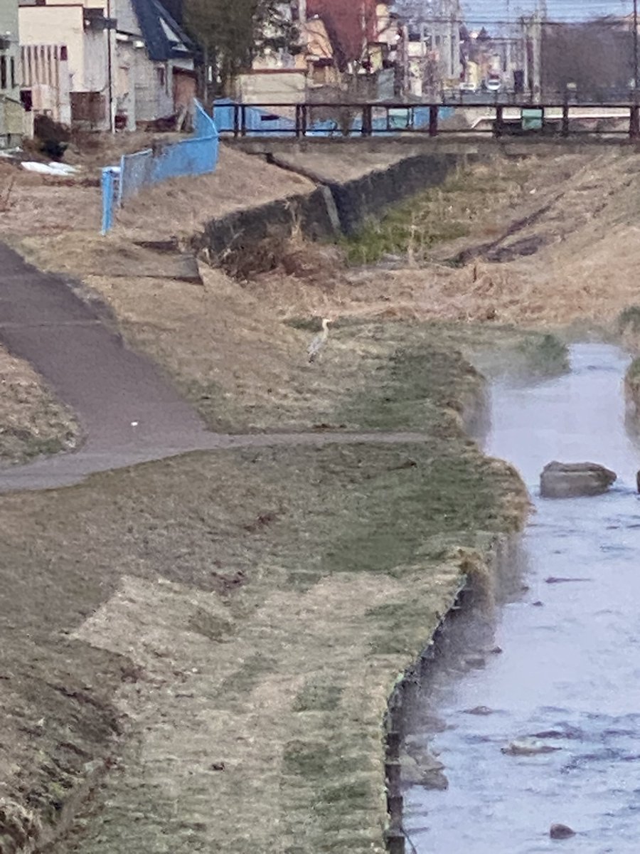 あいど tweet media