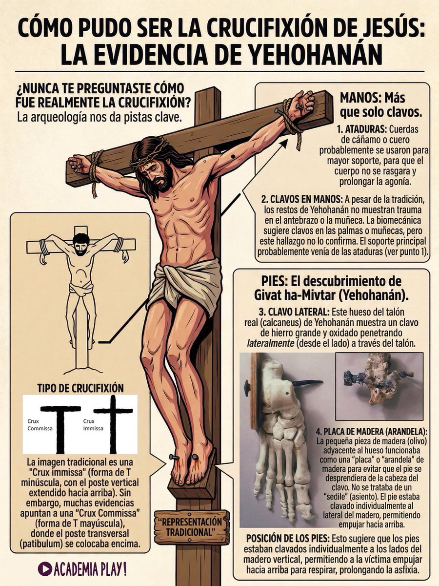 Javier Rubio Donzé tweet media