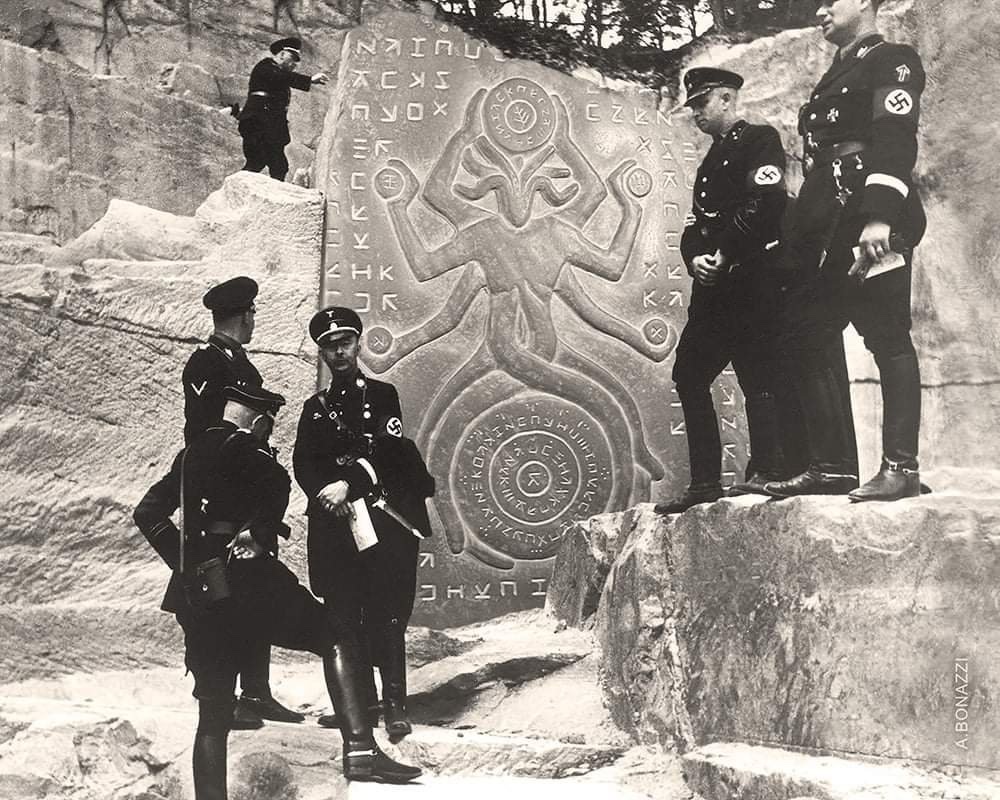 struggler tweet media