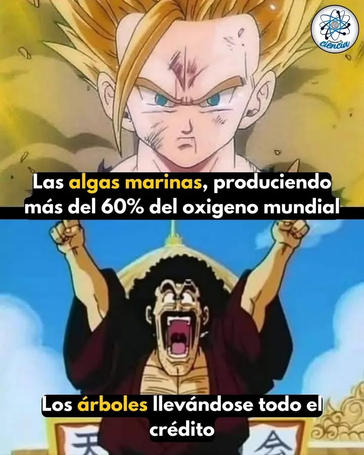 𝘒𝘢𝘨𝘶𝘺𝘢 𝘚𝘢𝘮𝘢 𝘍𝘢𝘯 ~愛~ tweet media