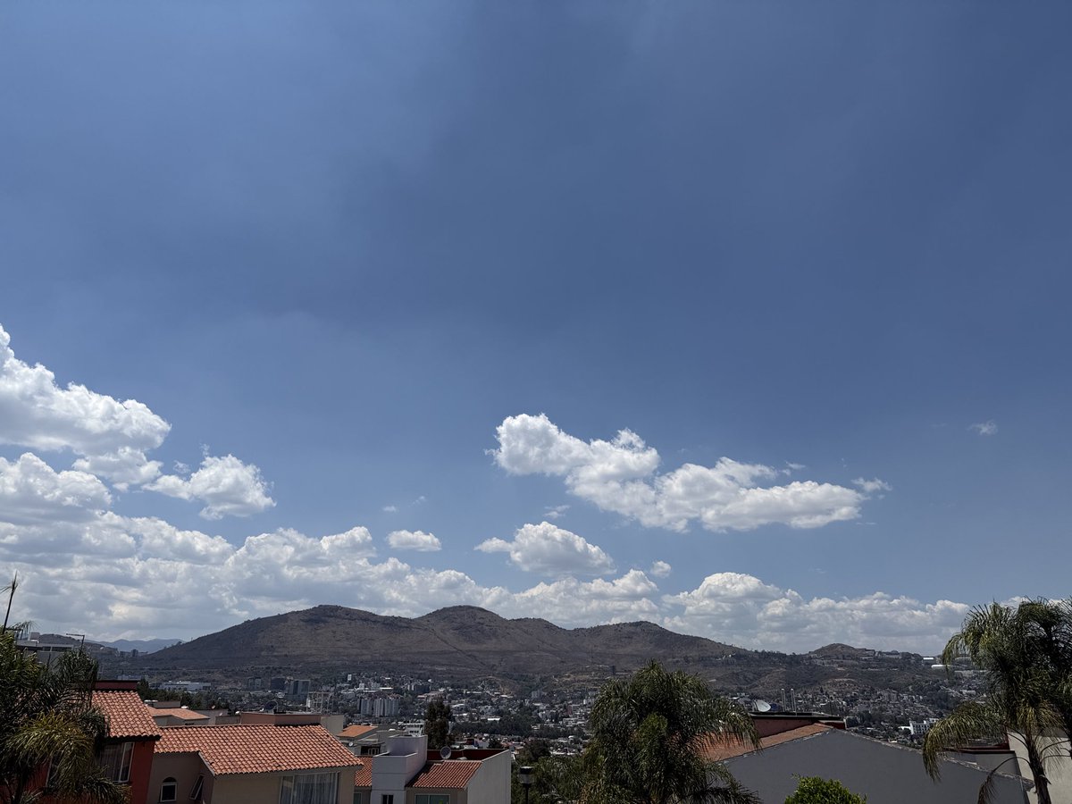 Joaquín Gloria G🇲🇽EdoMex tweet media