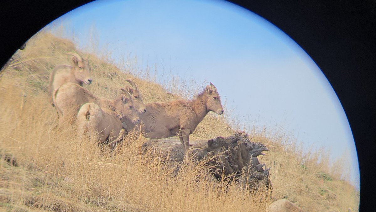 CPW SE Region tweet media