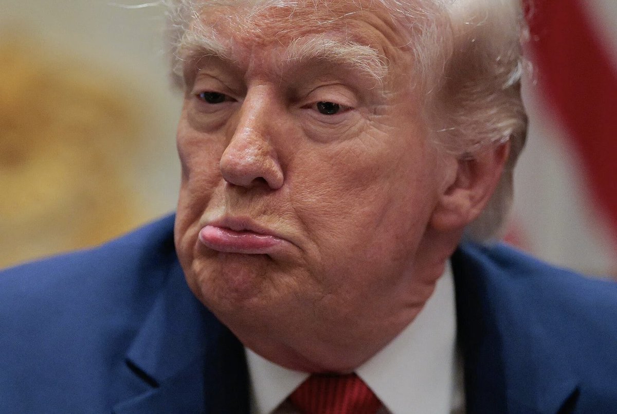 Mr. Whale tweet media