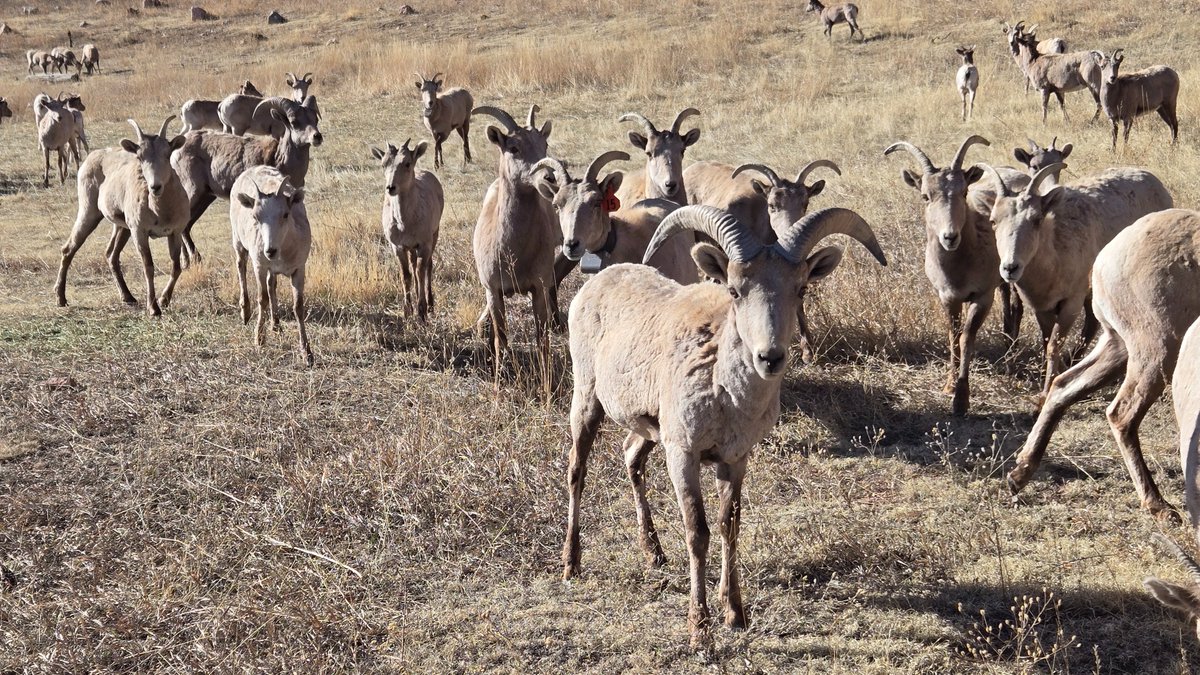 CPW SE Region tweet media