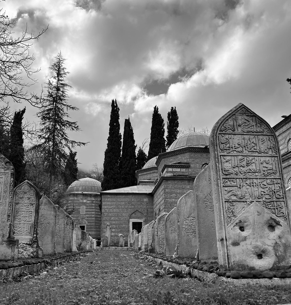 Okuyorum hayatı,
Toprağın üstündekilerden çok altındakilerle var olduğunu