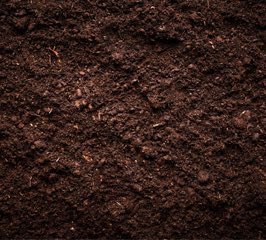 سعود tweet media