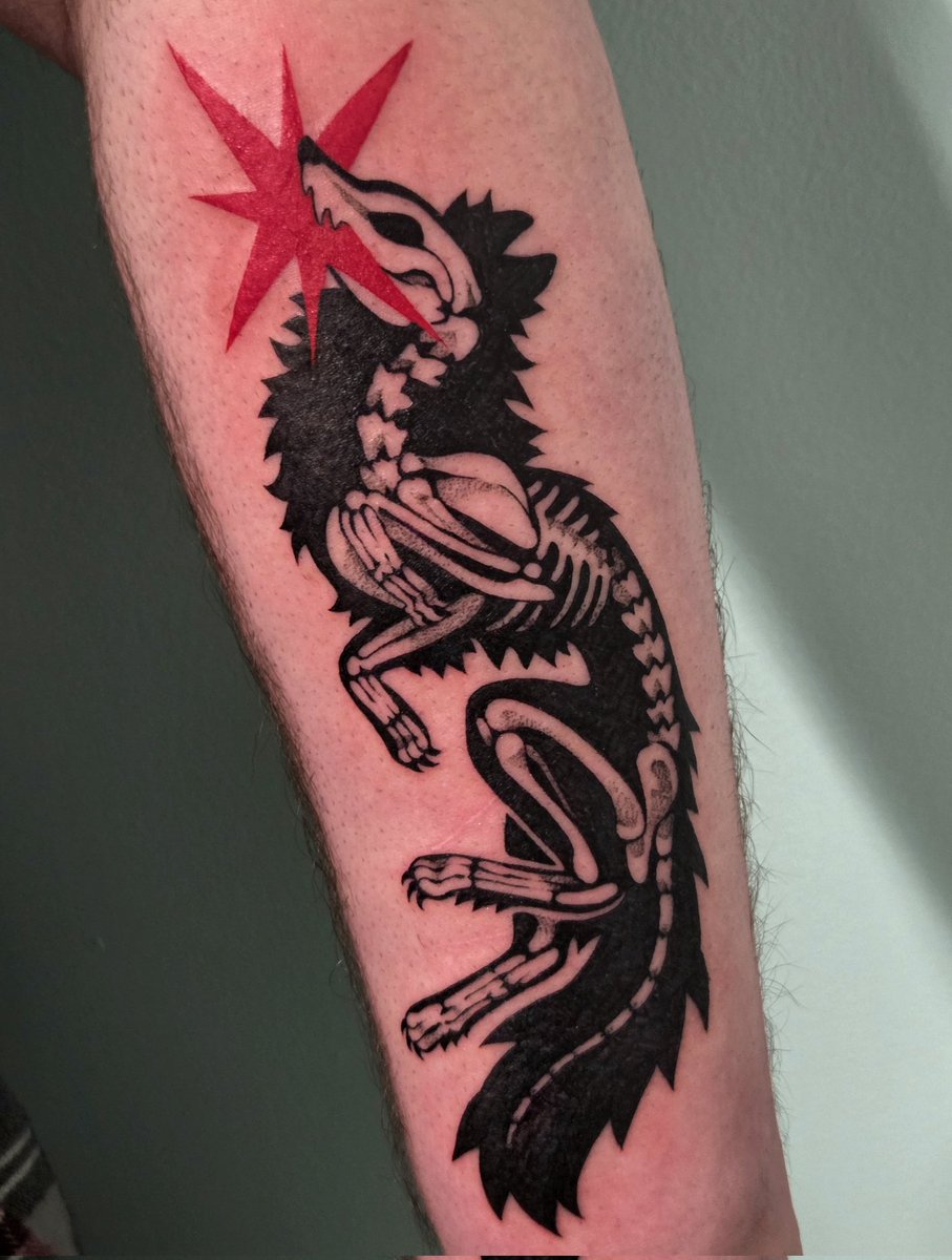 𝔣𝔢𝔯𝔫𝔴𝔥𝔦𝔰𝔨𝔢𝔯ᓚᘏᗢ tweet media