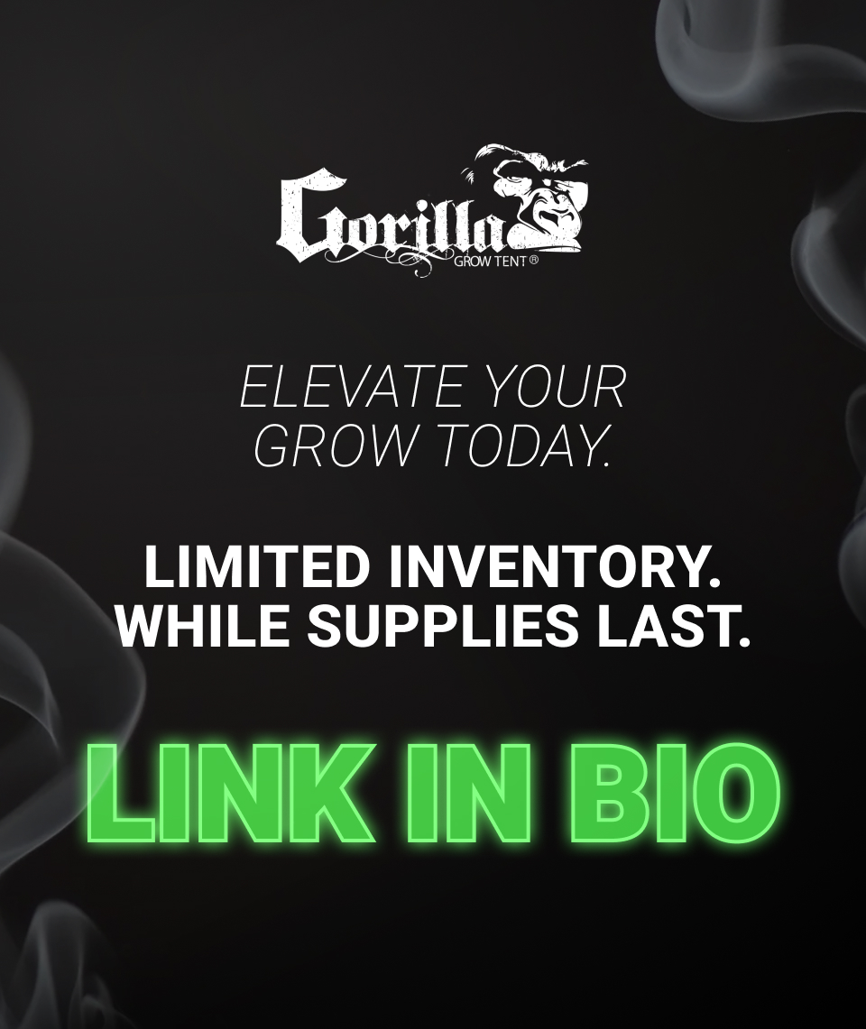 🌱 420 SALE IS LIVE 🌱

Our biggest sale of the year is here. 

💸 up to 25% off select grow gear
⛺ $200 off any 5x5 Gorilla Grow Room PRO 
⚡ $1 GXi temp &amp; humidity sensor with a purchase of any Gorilla Grow Light
📦 free shipping over $1k

While supplies last. Link in bio.