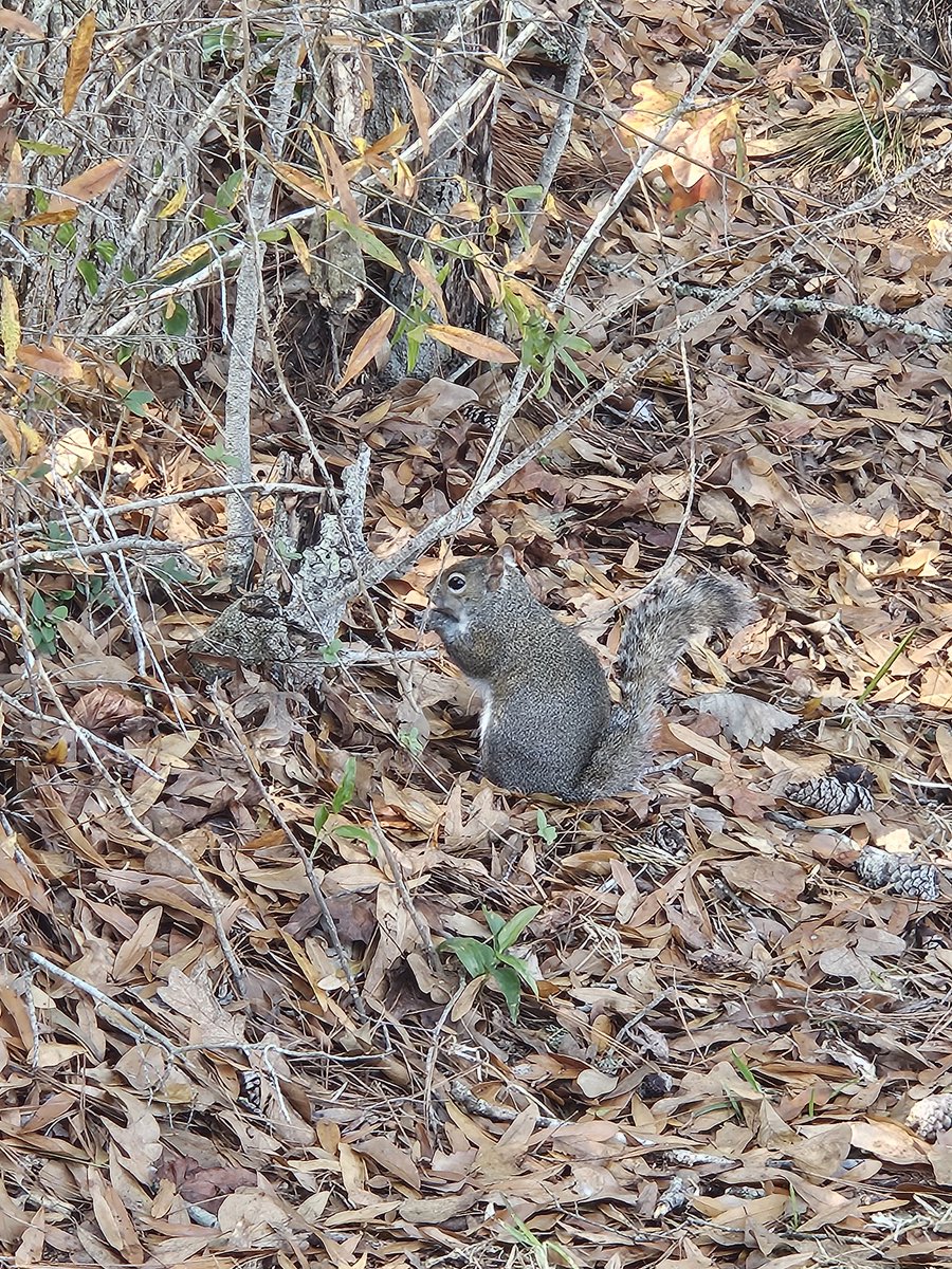 Jimmy Crashr tweet media