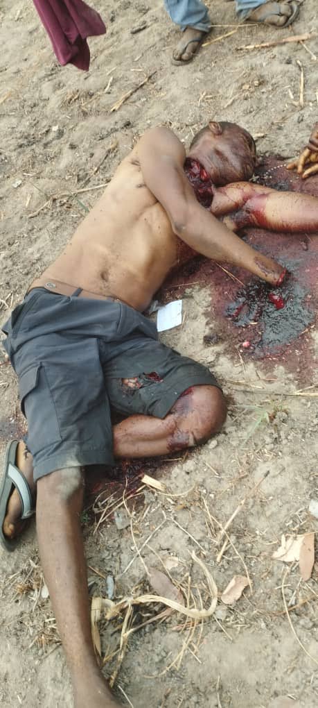 pandemic tweet media