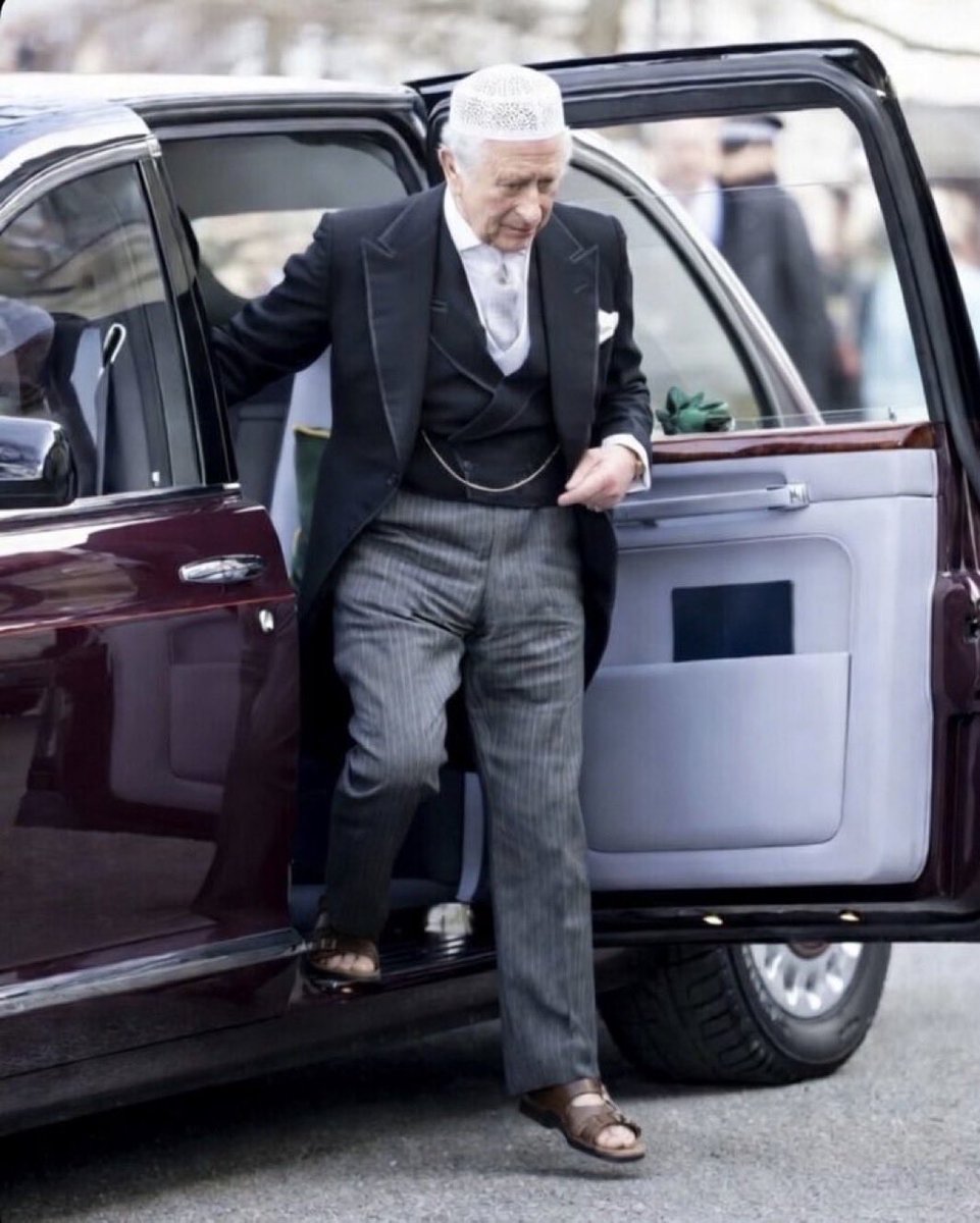 Sami 🍊🍊🍊✌️🇺🇸 tweet media