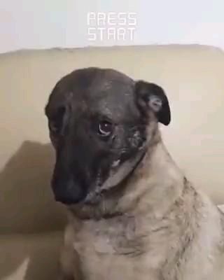 parol🫰🏻 tweet media