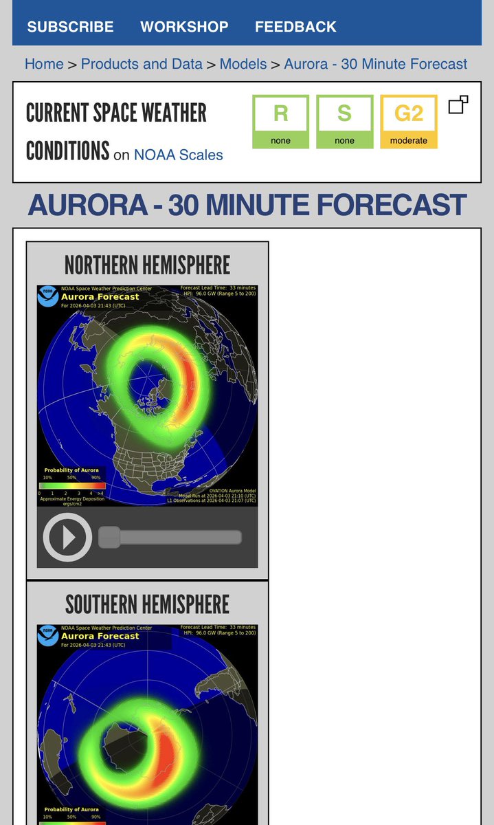 nekogasuki tweet media