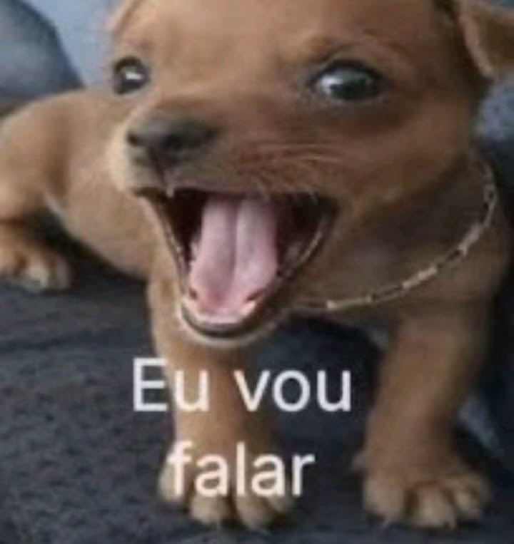 bia das ronance ⚢ tweet media