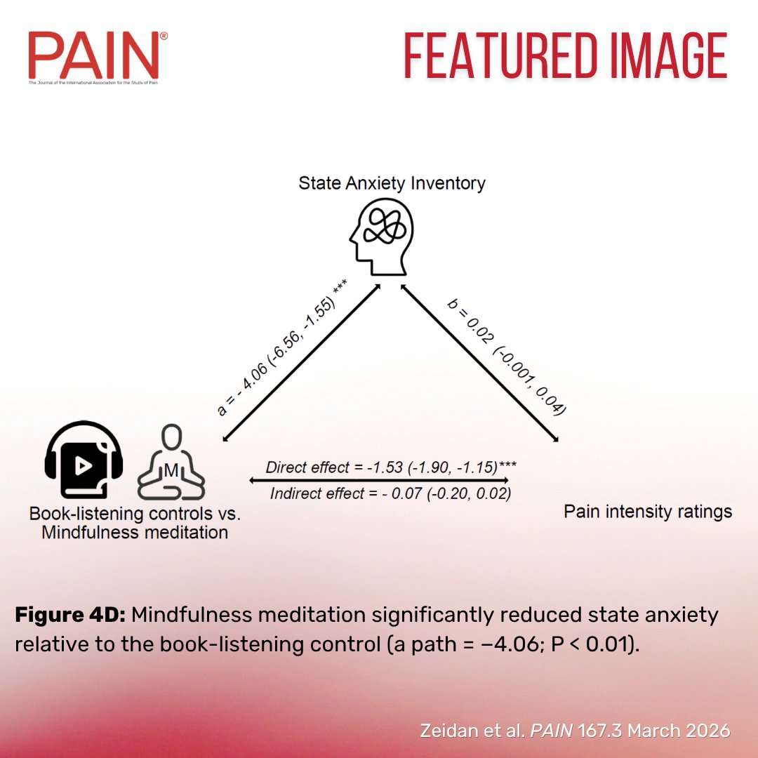 PAIN Journal tweet media