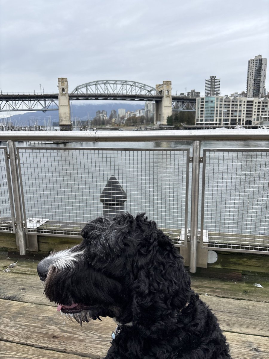 jon warner tweet media