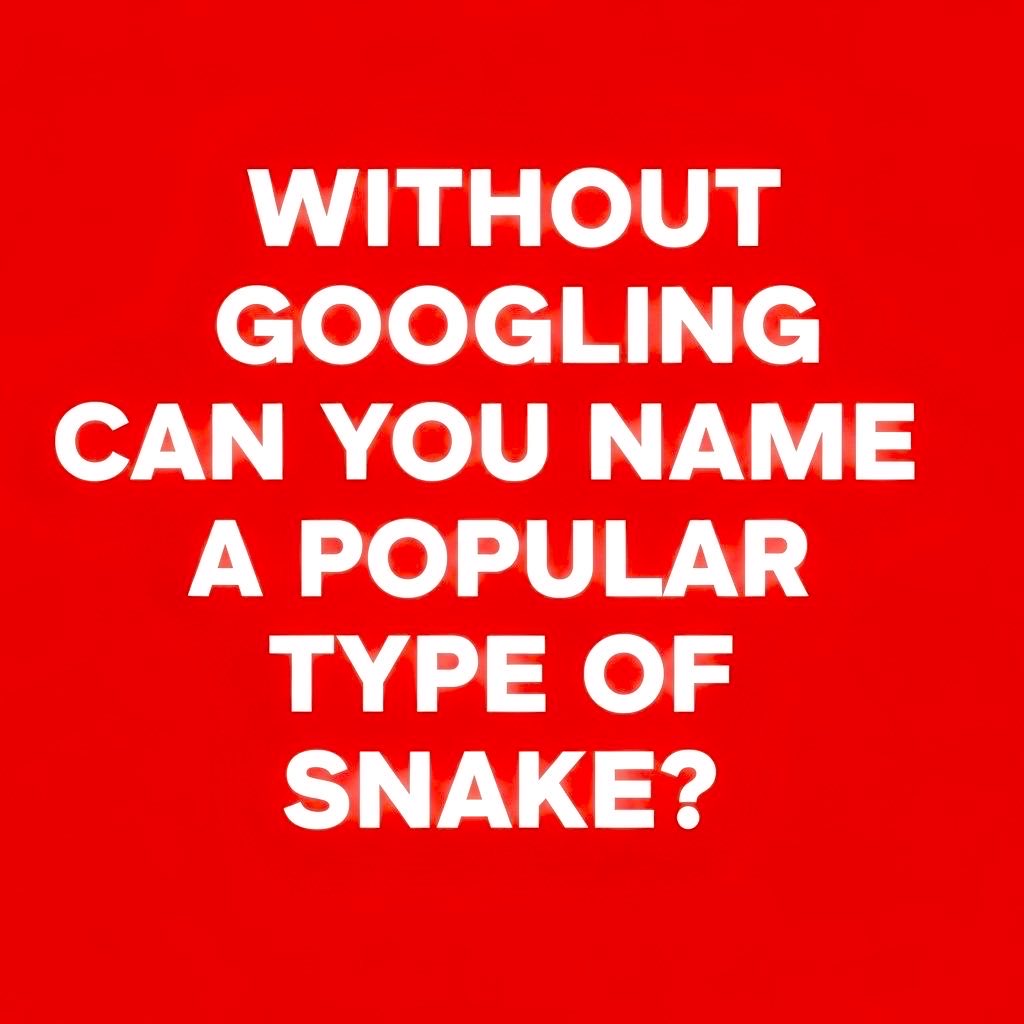 LadyValor tweet media