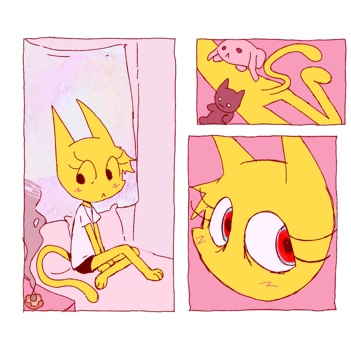 Shelley Zedkat tweet media