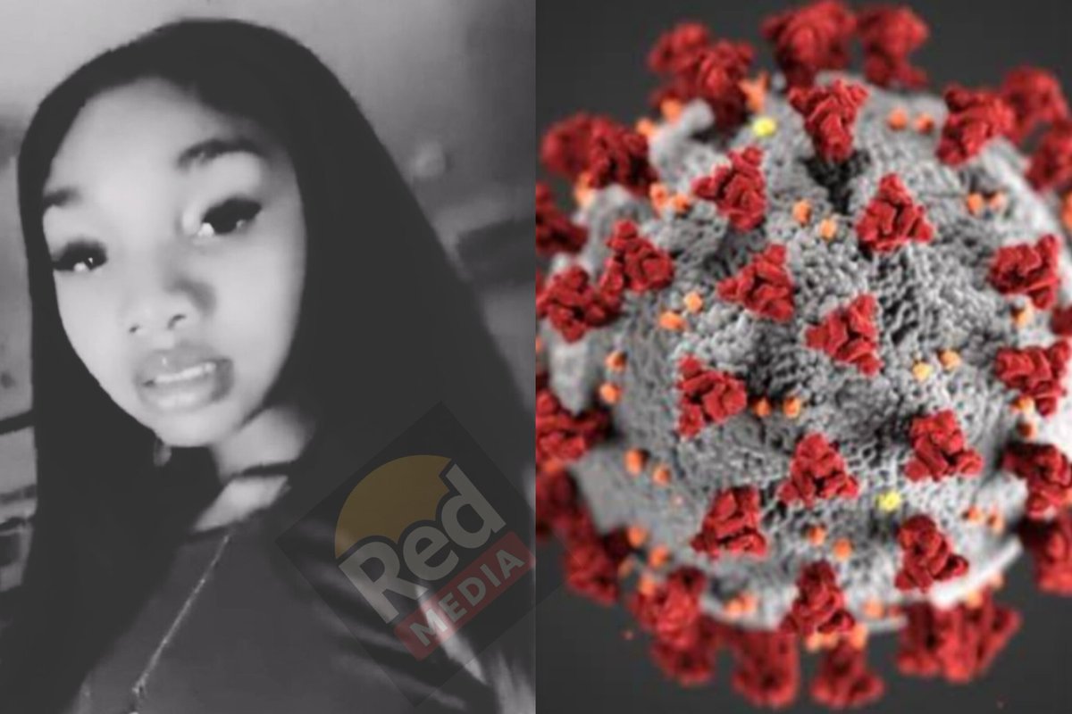 Red Media tweet media